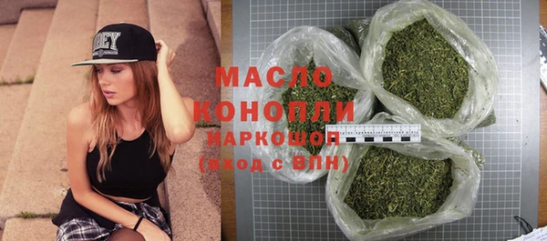 spice Богородицк